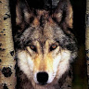 Meet your Posher, Sophia